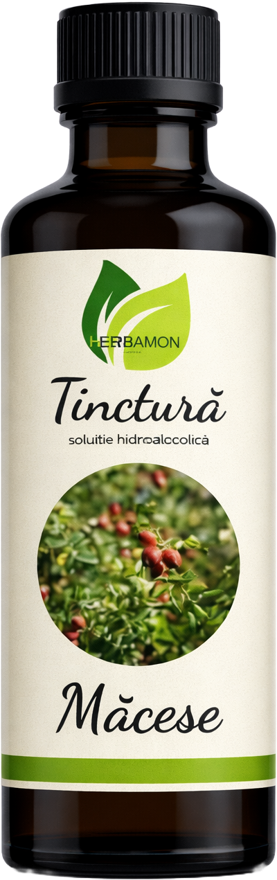 Tinctură Măcese